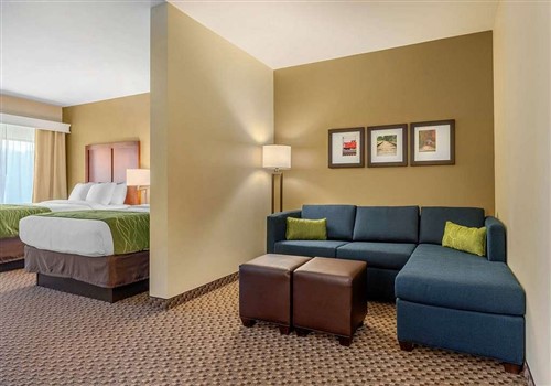 Comfort Inn & Suites Florence > Comfort Inn & Suites Florence >
