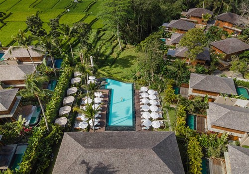 Kappa Senses Ubud > Kappa Senses Ubud >