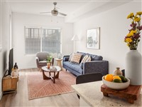 Locale Midtown Phoenix Locale Midtown Phoenix