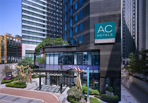 New Hotel in Seoul 2022 - AC Hotel by Marriott Seoul Gangnam > New Hotel in Seoul 2022 - AC Hotel by Marriott Seoul Gangnam >